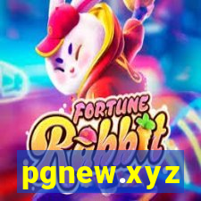 pgnew.xyz