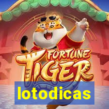 lotodicas