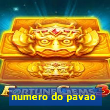 numero do pavao