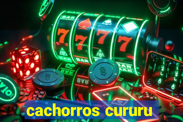 cachorros cururu