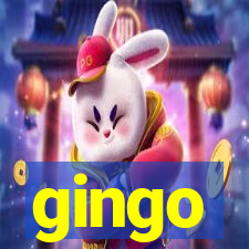 gingo