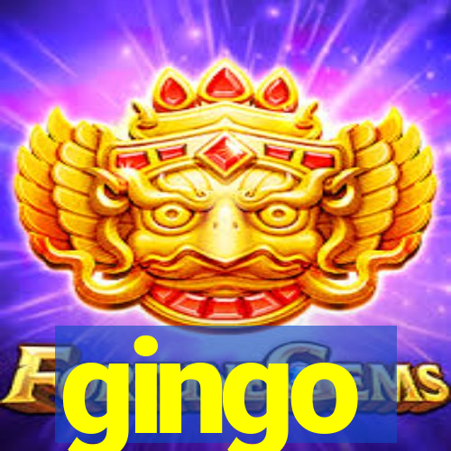 gingo