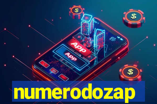 numerodozap