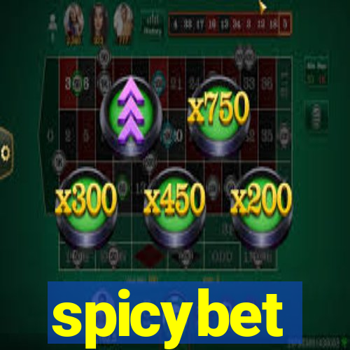 spicybet-2.com