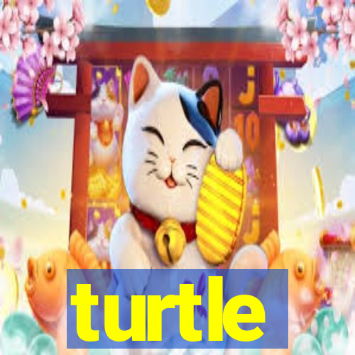 turtle-ty.com